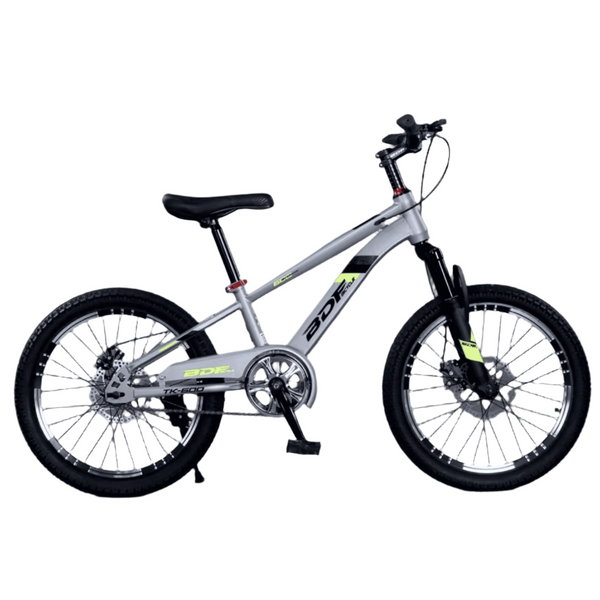 BDF 24-Inch Grey Bicycle